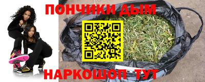 индика Кулебаки