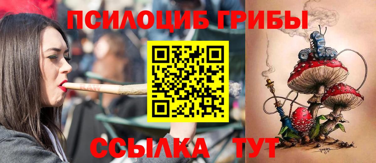Псилоцибиновые грибы Psilocybine cubensis  Псилоцибиновые грибы Psilocybe  Бутурлиновка  Вход с VPN 