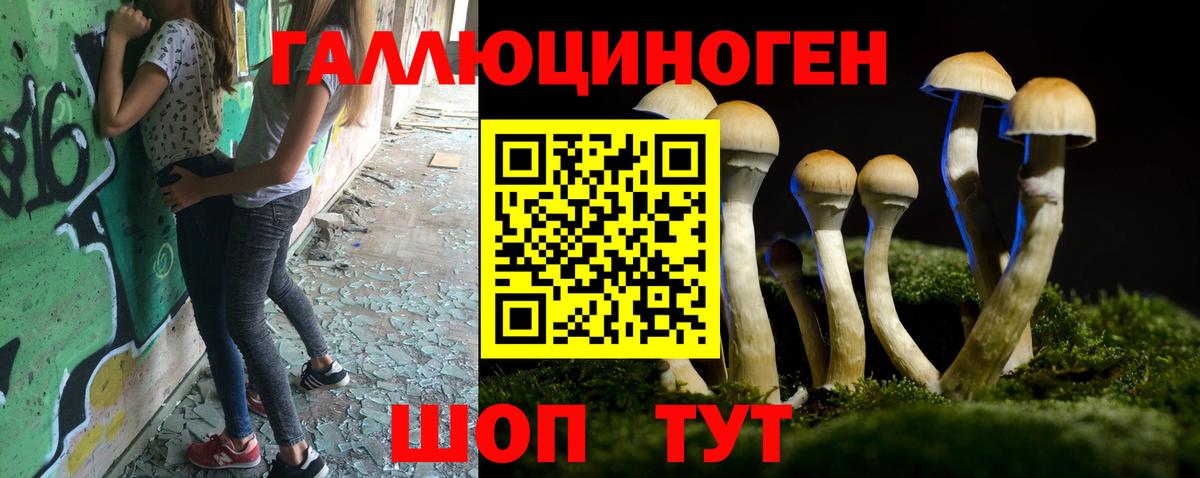 Псилоцибиновые грибы Psilocybe Бутурлиновка